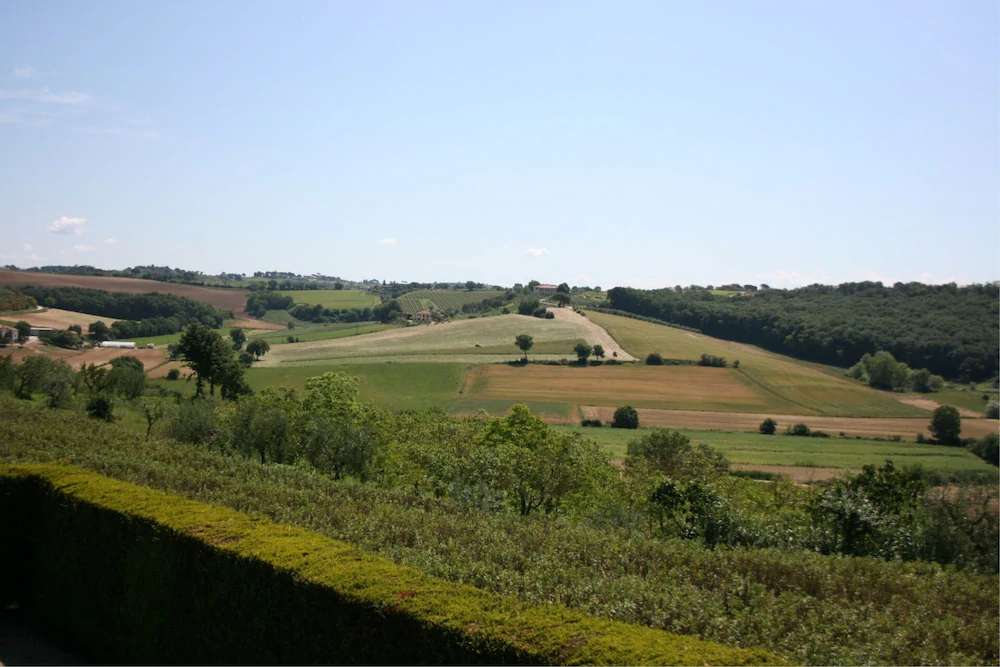 Cerretini