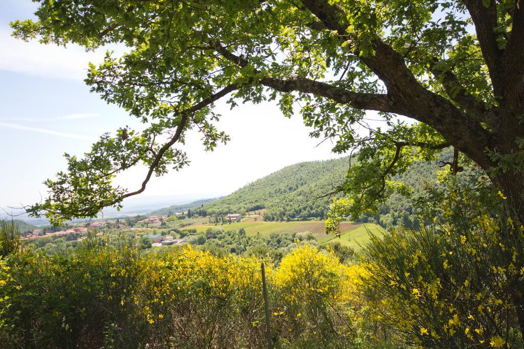 Panoramic