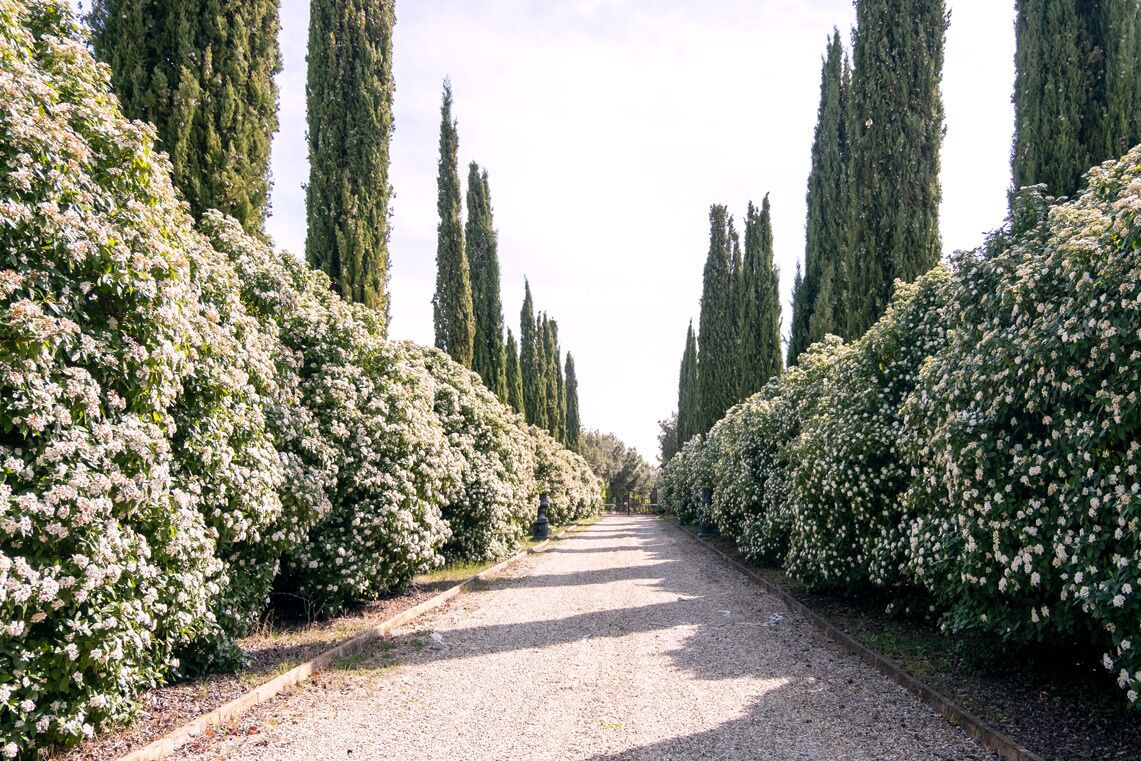 Villa Chiccheio