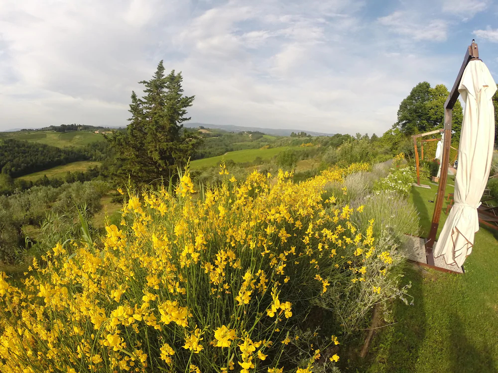 La Rocca Di Montalbino