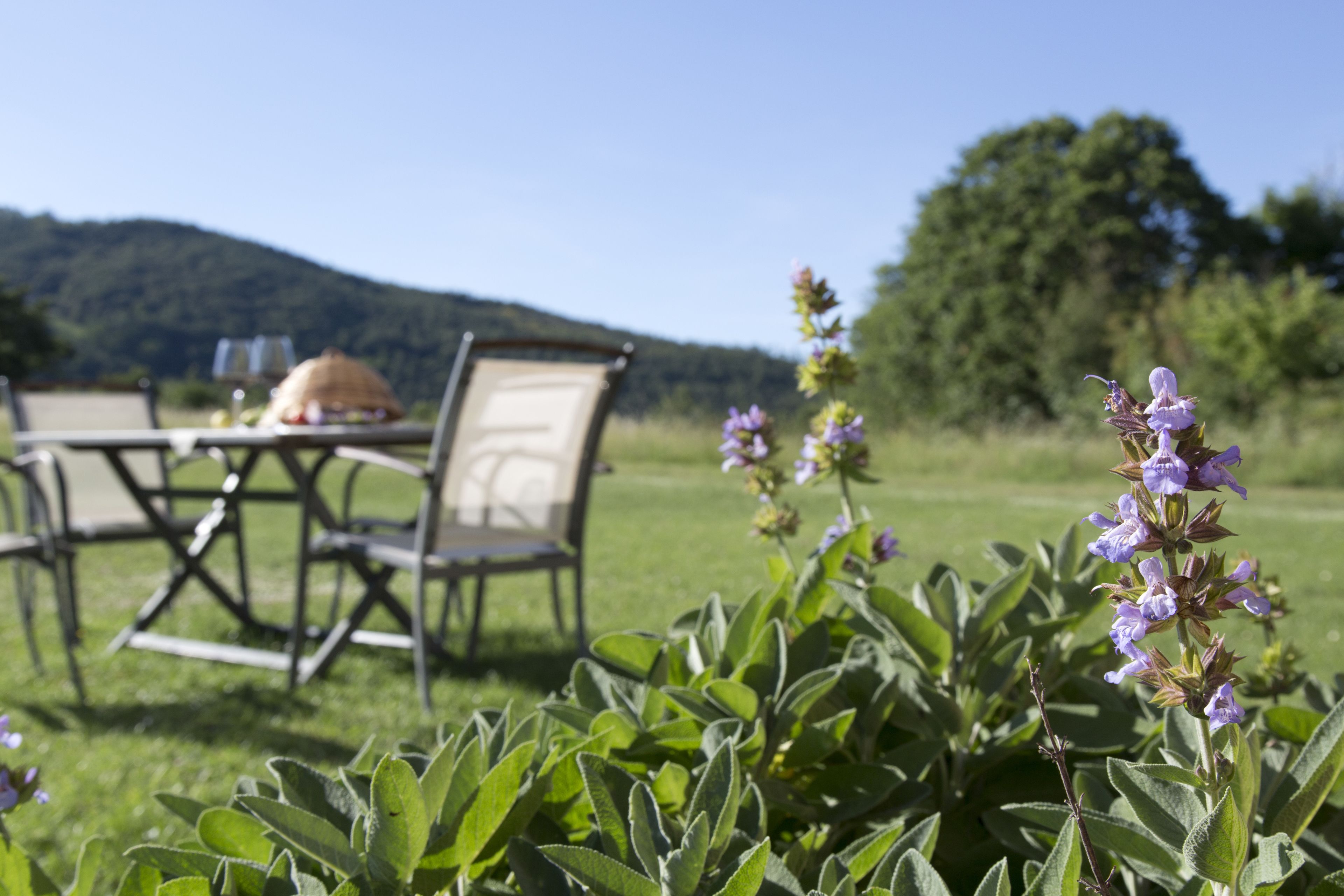 Podere I Monti Agriturismo