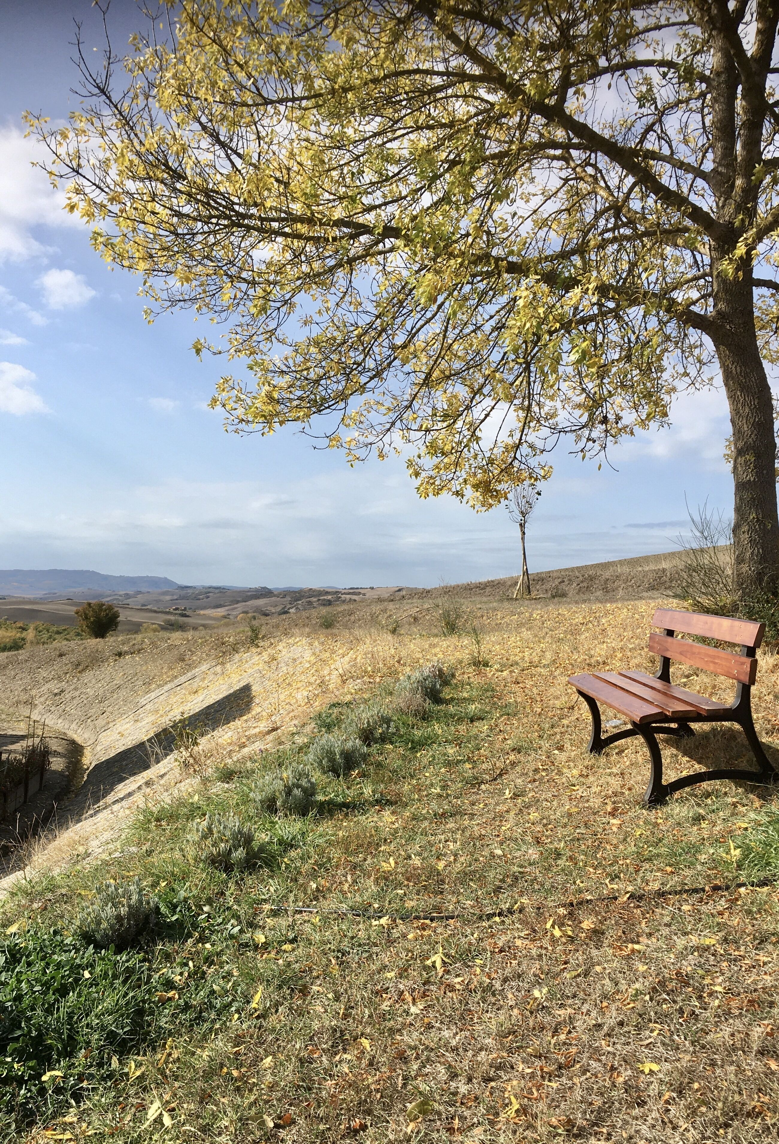 Vento D’Orcia