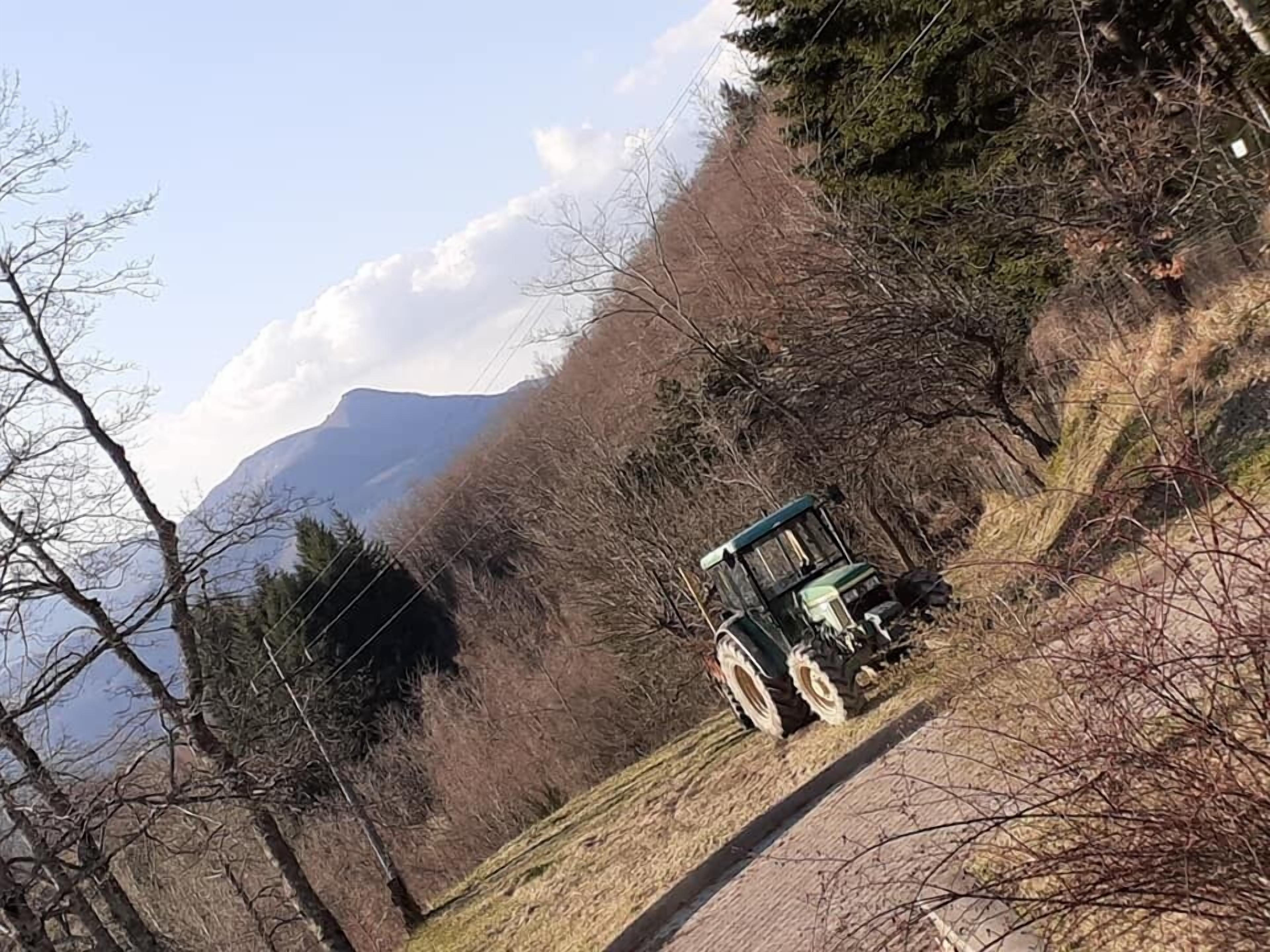 Alla Tana Del Bianconiglio