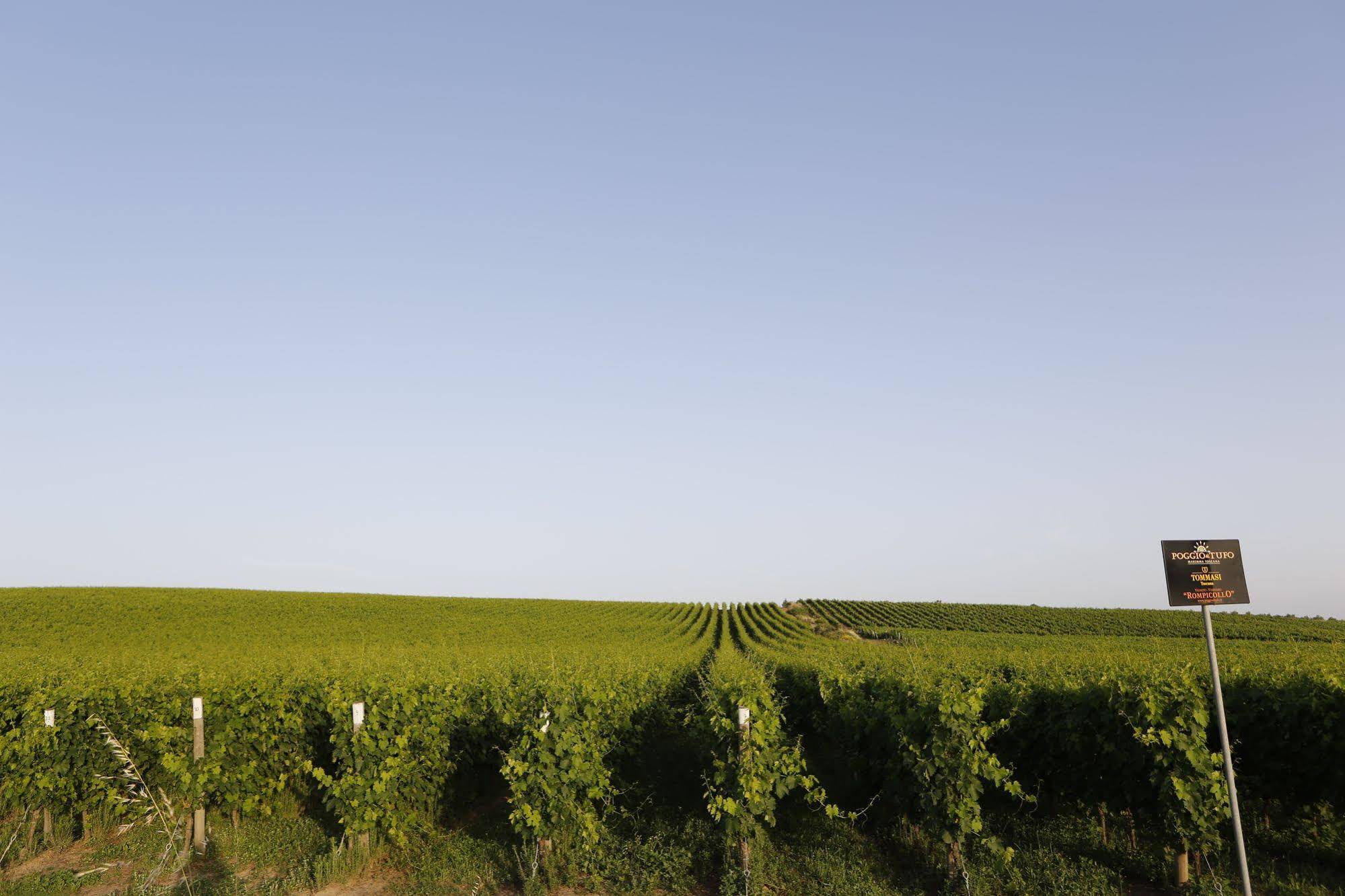 Agriturismo Poggio Al Tufo