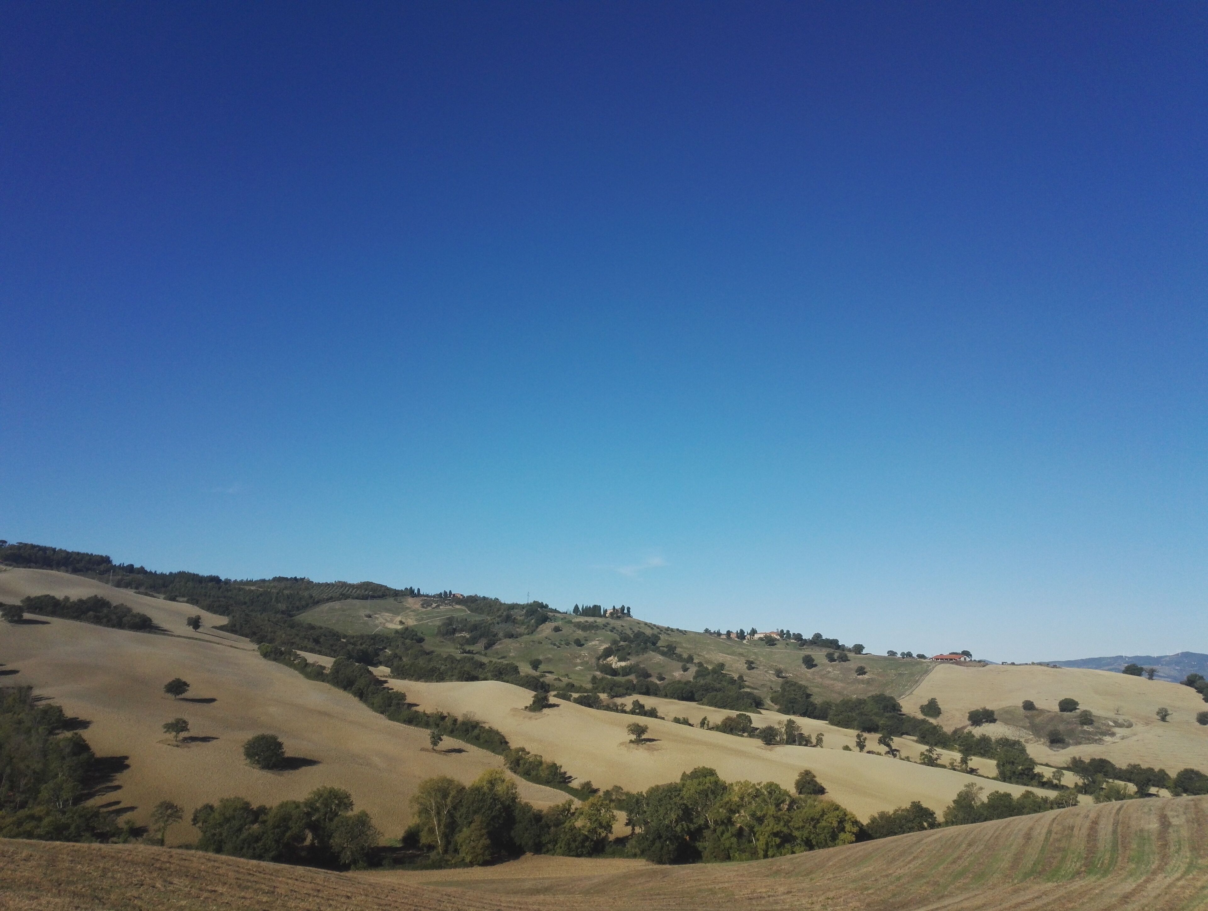 Agriturismo Il Palagetto