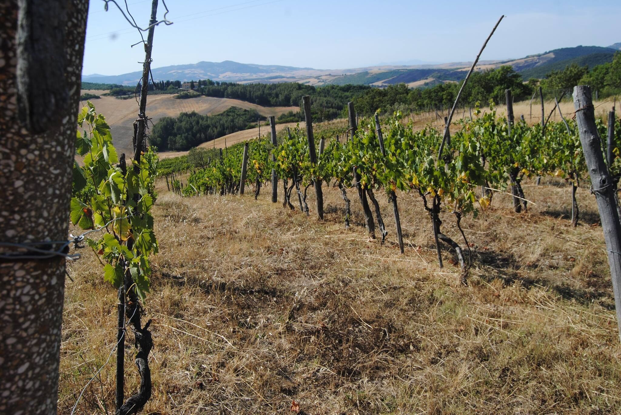 Agriturismo Incanto Del Fiume