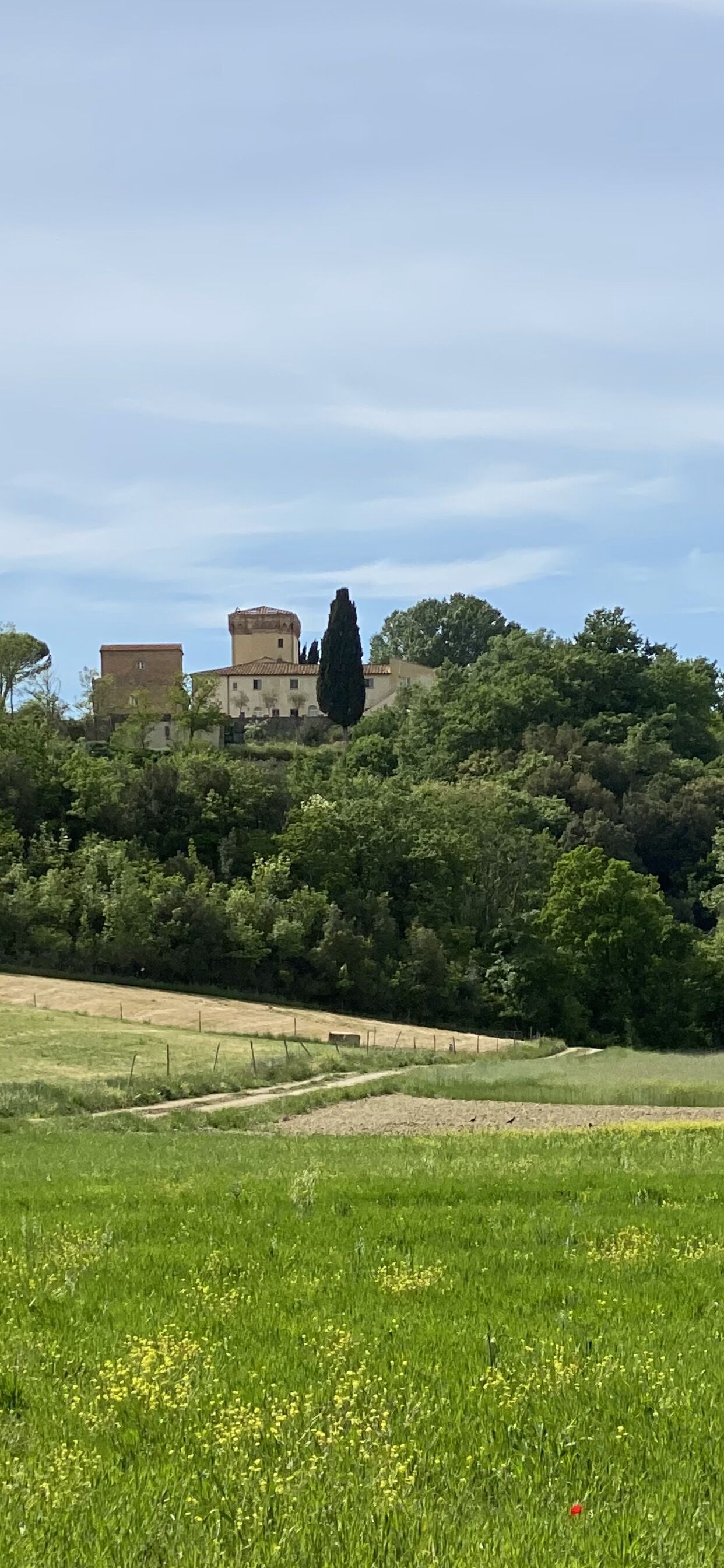 Bio Agriturismo Il Cerreto
