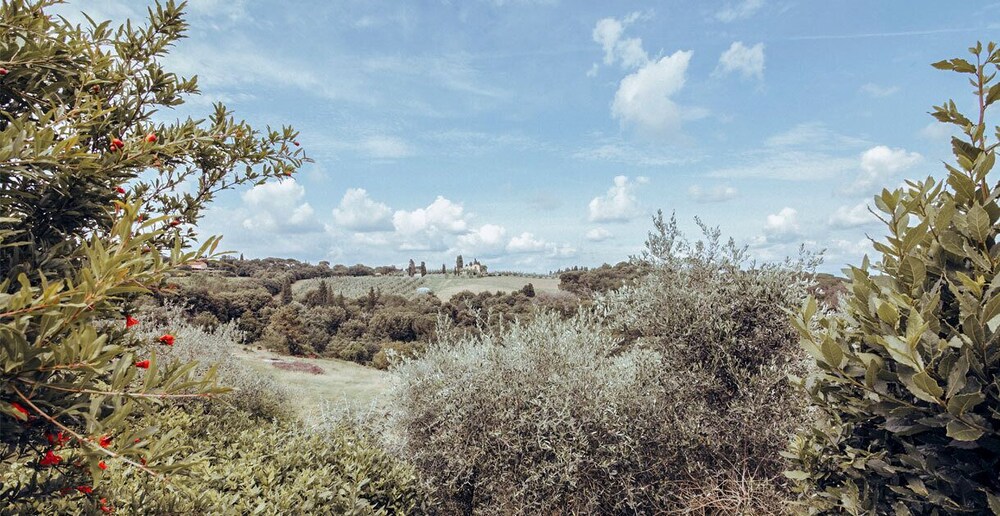 Agriturismo Il Pintello