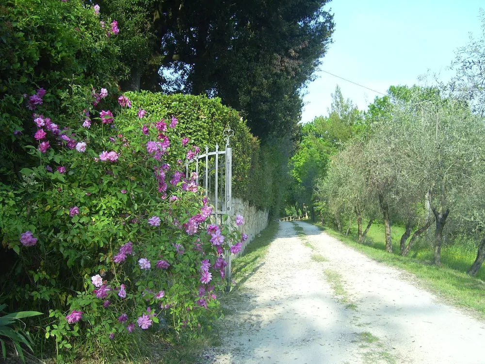 Bed and Breakfast Il Giglio Etrusco