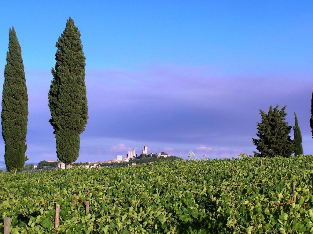 Poggetto di Montese