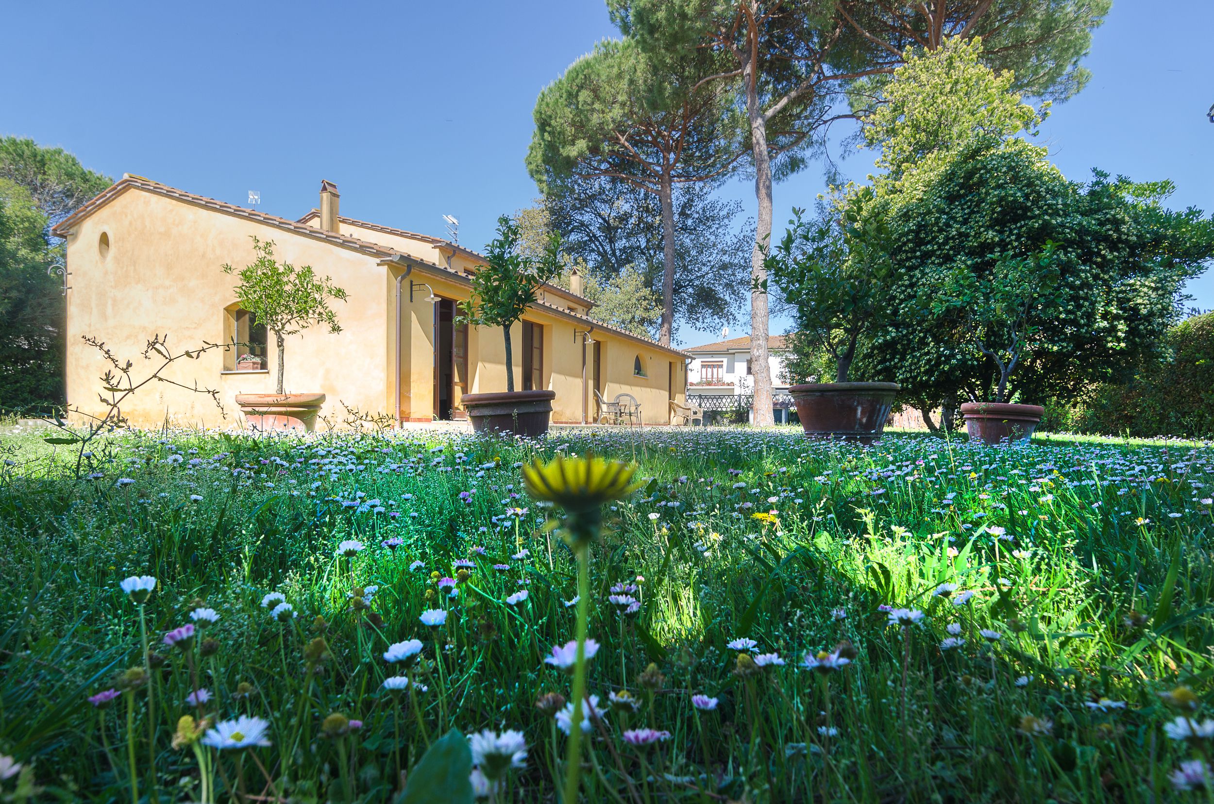 Pisa Holidays Bed & Breakfast