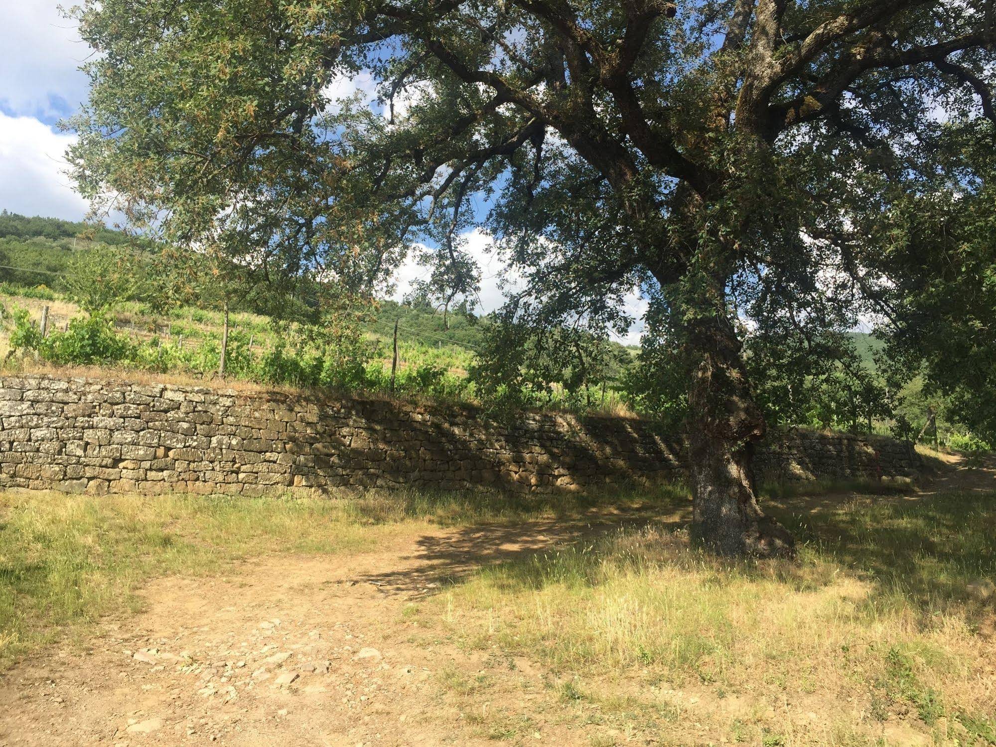 Villa La Grotta