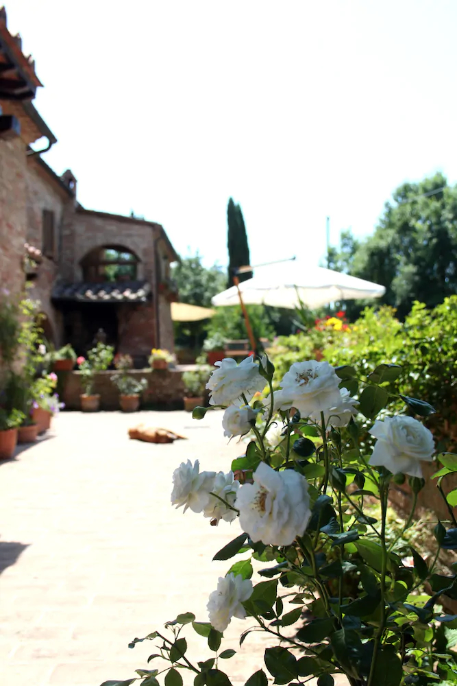 Tenuta La Santissima