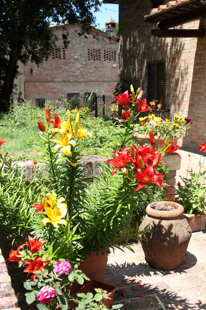 Tenuta La Santissima