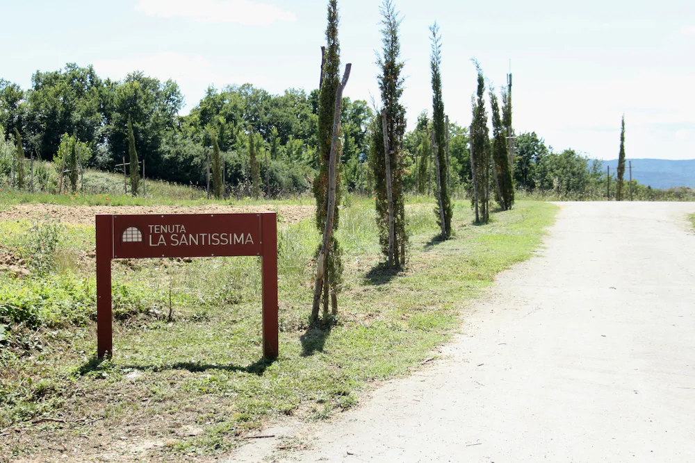 Tenuta La Santissima