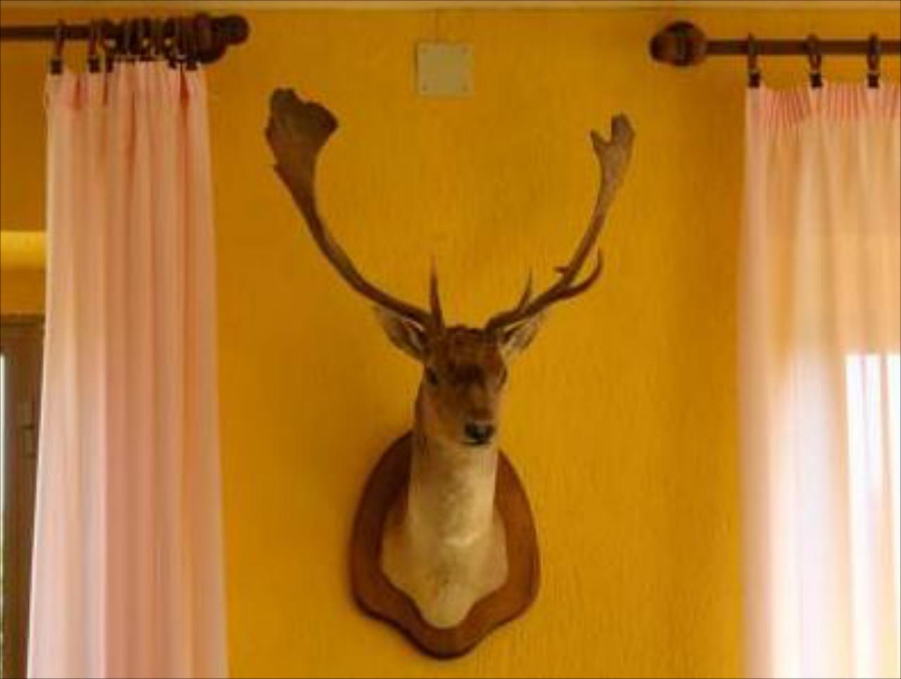 Terre D'Orcia Hotel