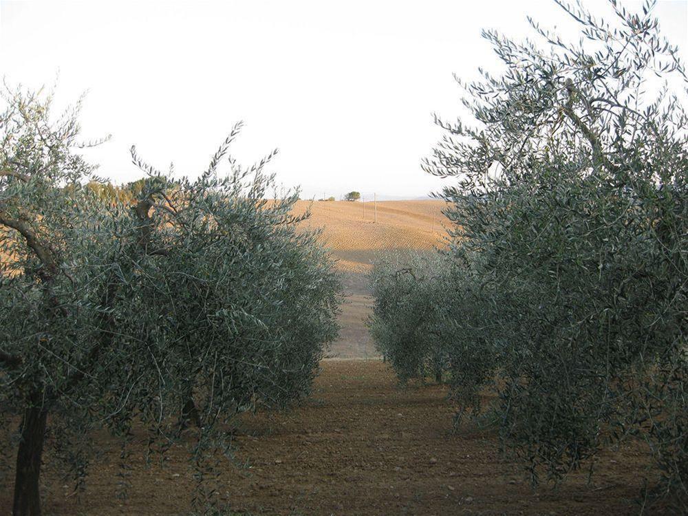 L'Albergaccio