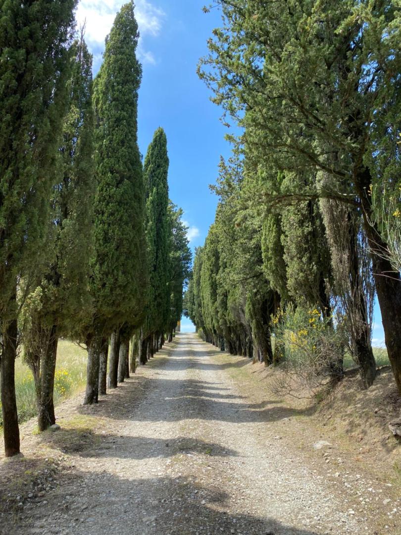 Villa Poggio Dei Cipressi