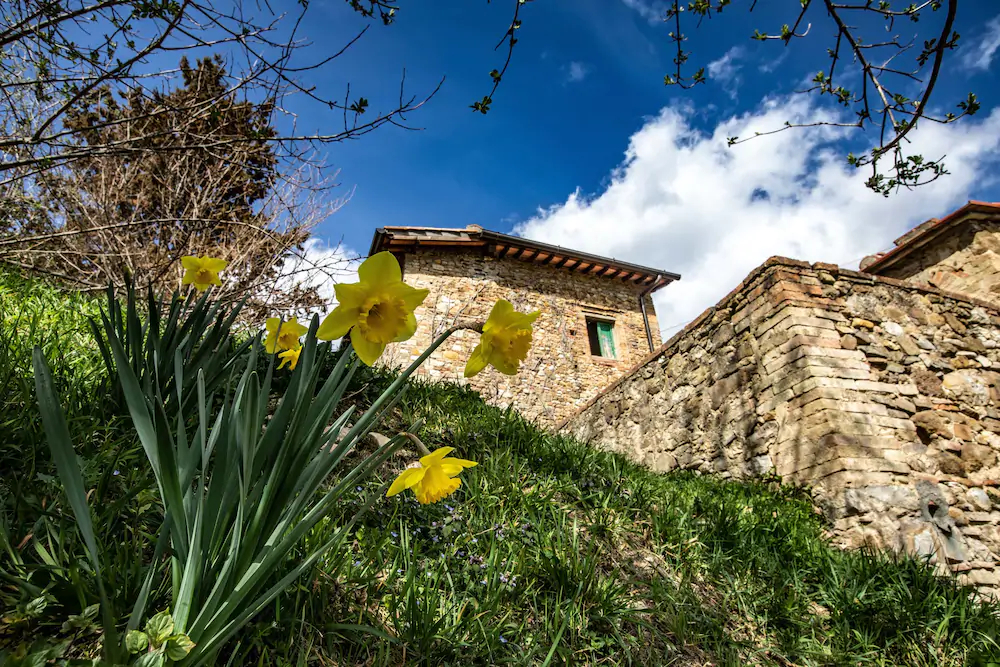 Campora House