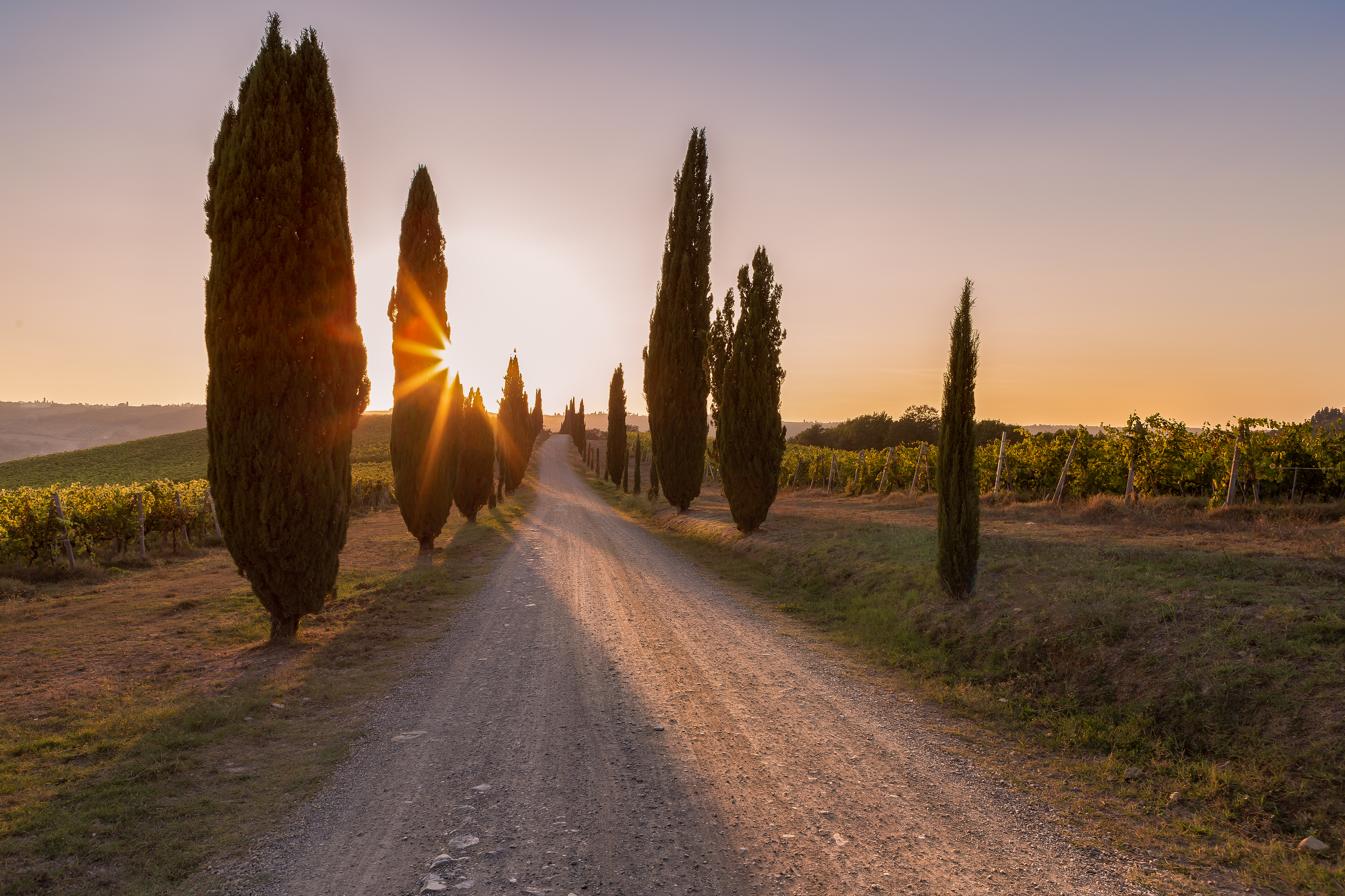 Fattoria Pratale