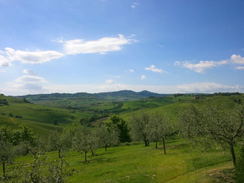 Casa Bella