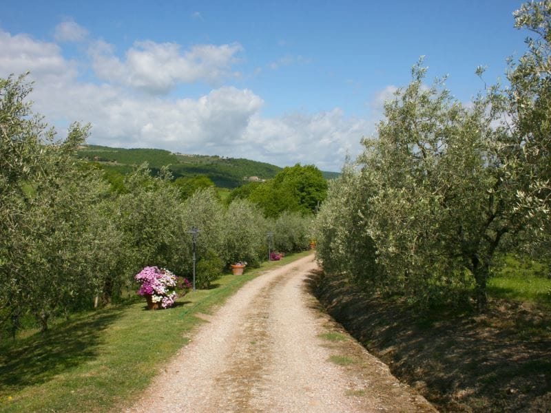 Casa Bella