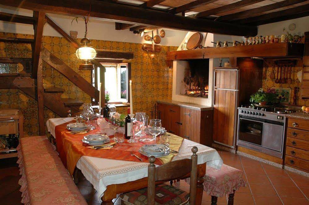 Agriturismo Il Renello