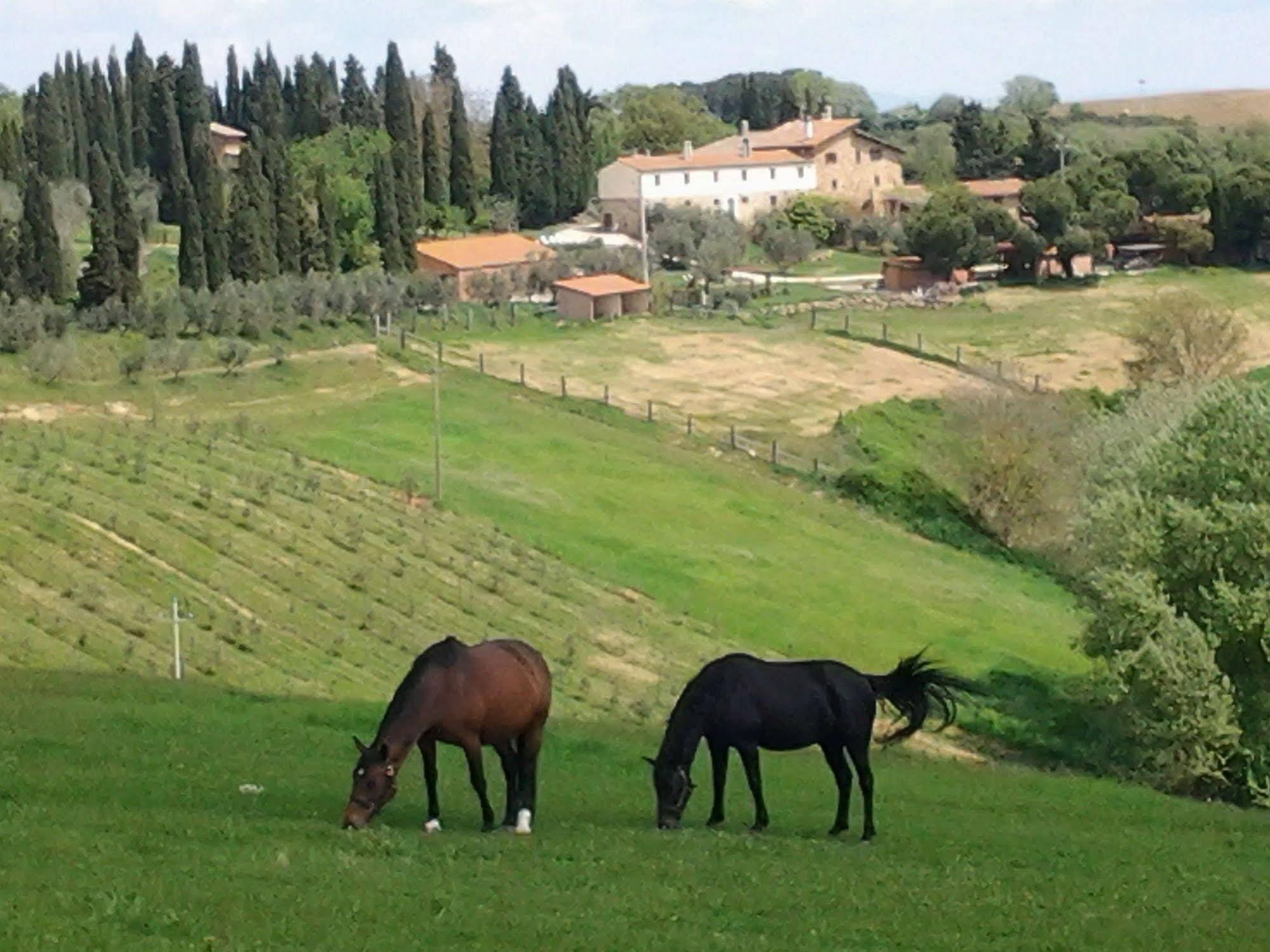 Agriturismo Il Renello