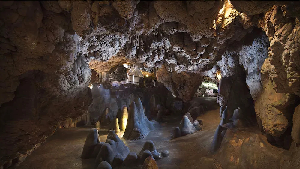 Azienda Agricola Musignano