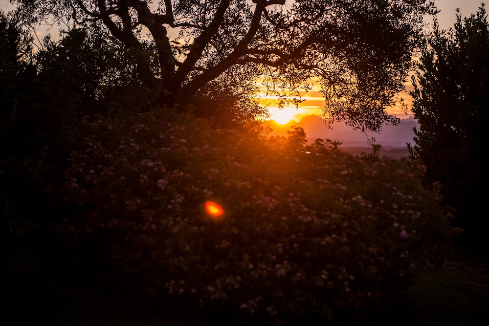 Azienda Agricola Musignano
