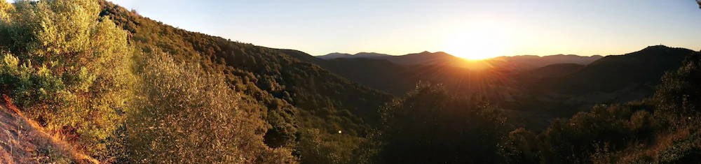 Locanda Mossa Dei Barbari