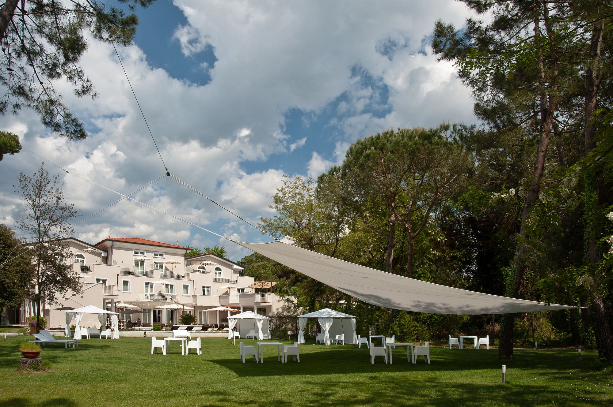 Stella della Versilia