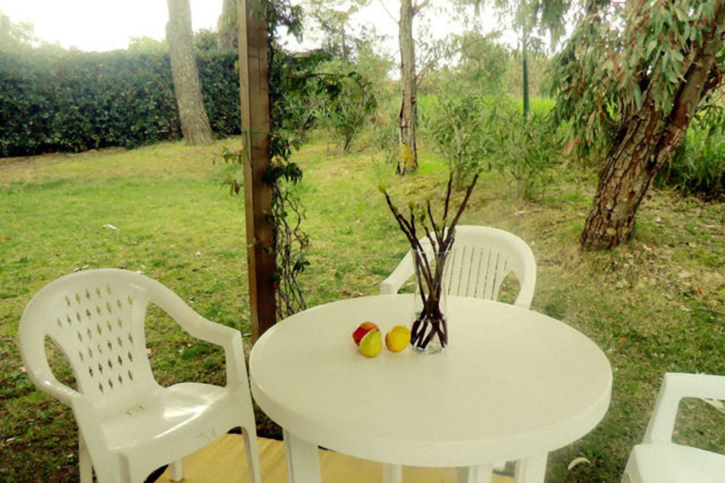 Agriturismo Antico Podere Il Polveraio