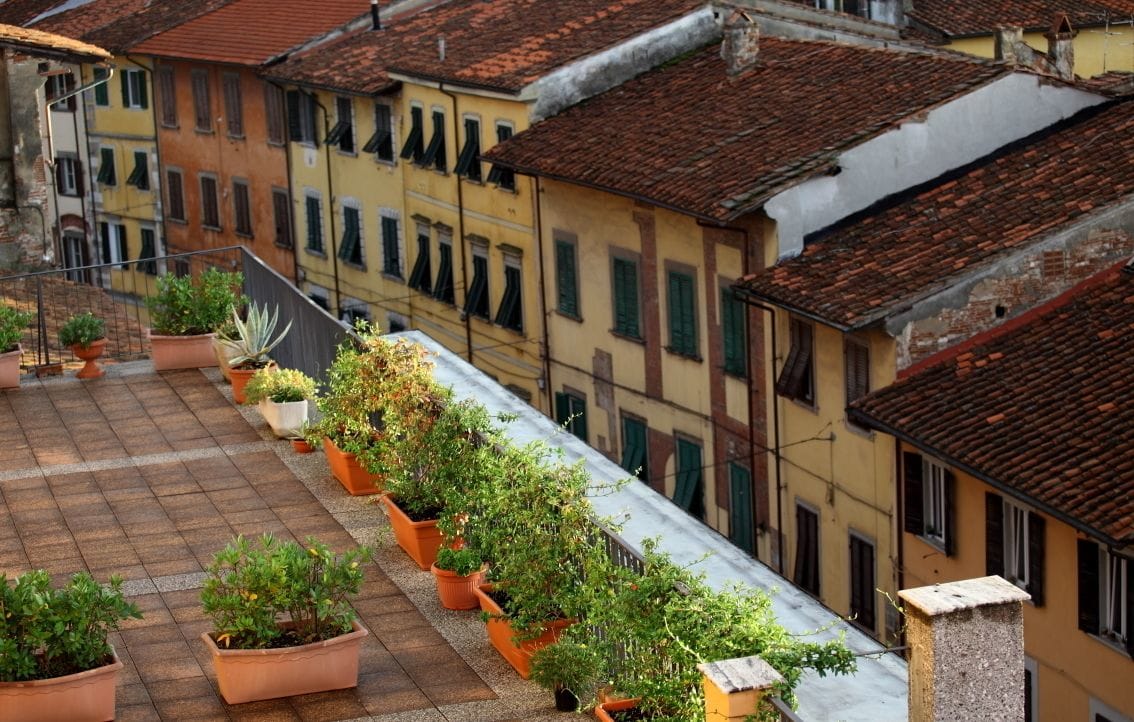Grand Duomo