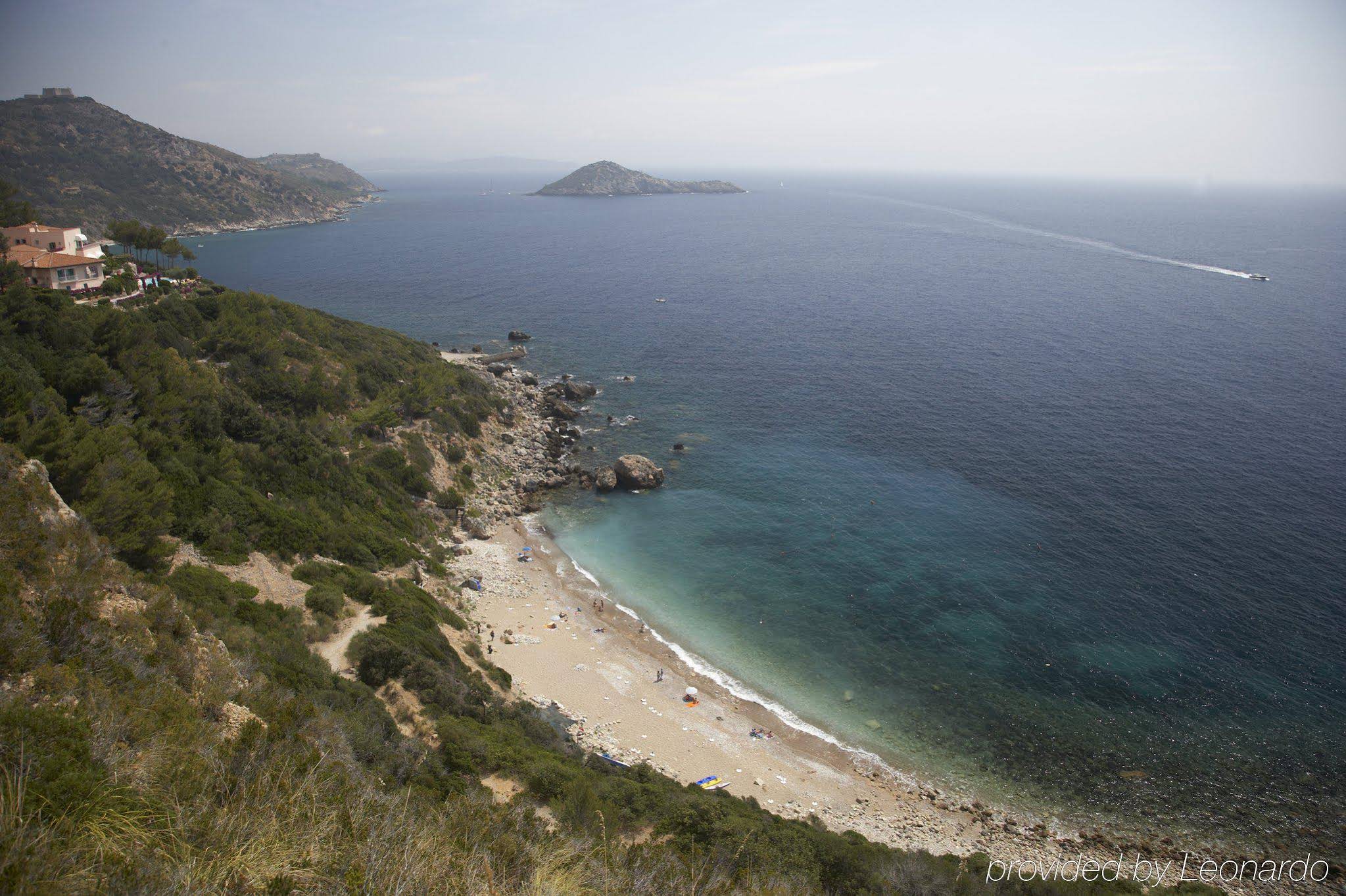 Il Pellicano