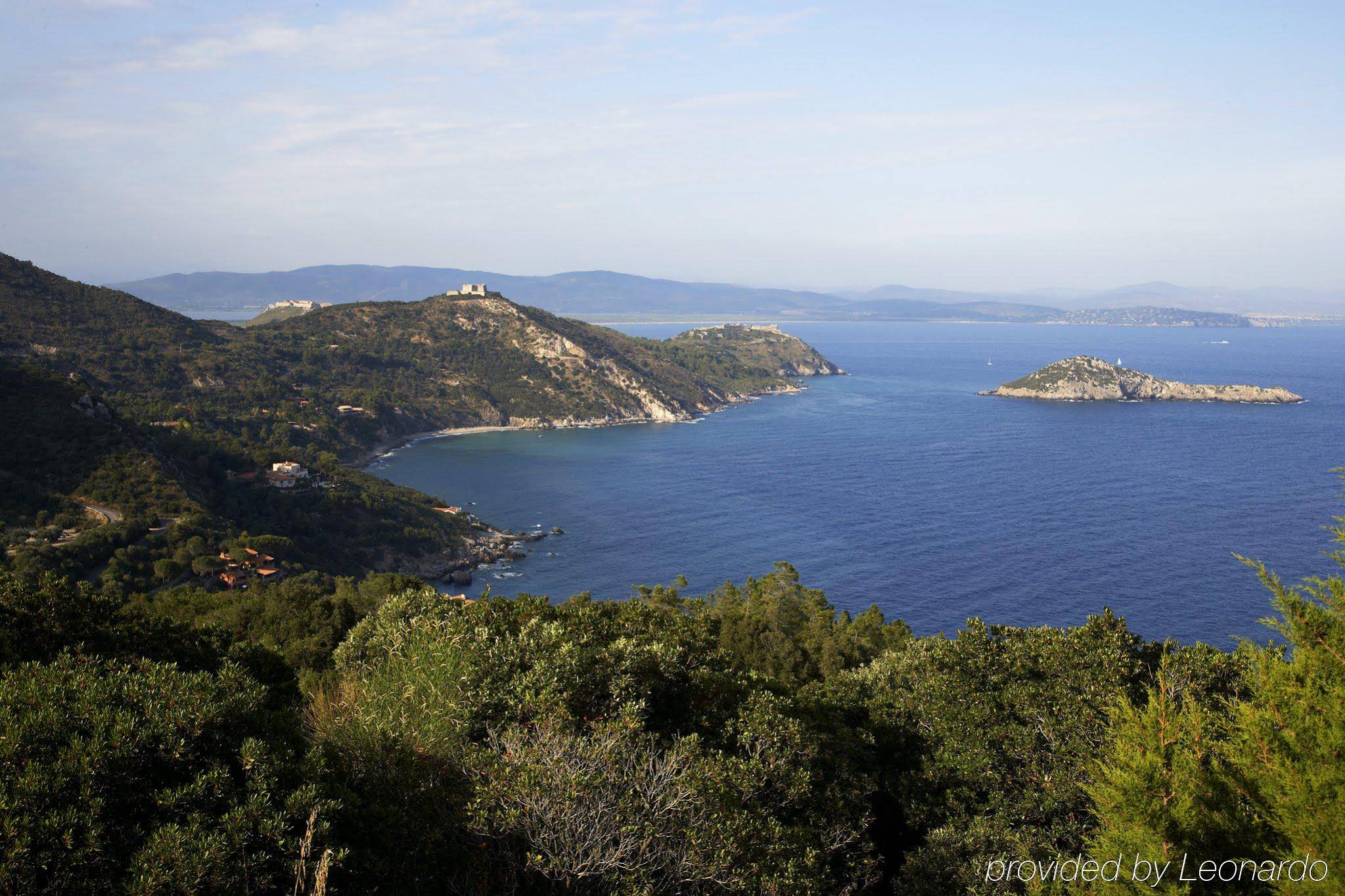 Il Pellicano