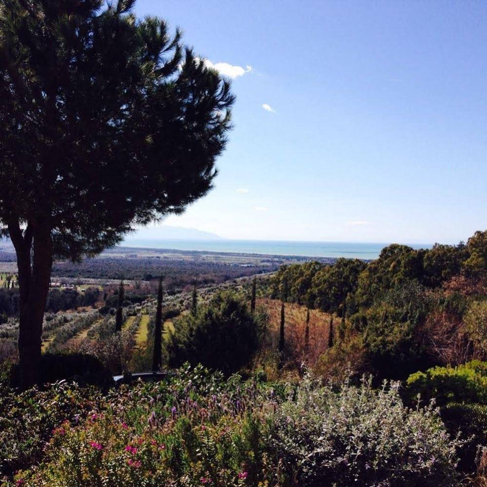 Poggio Ai Santi