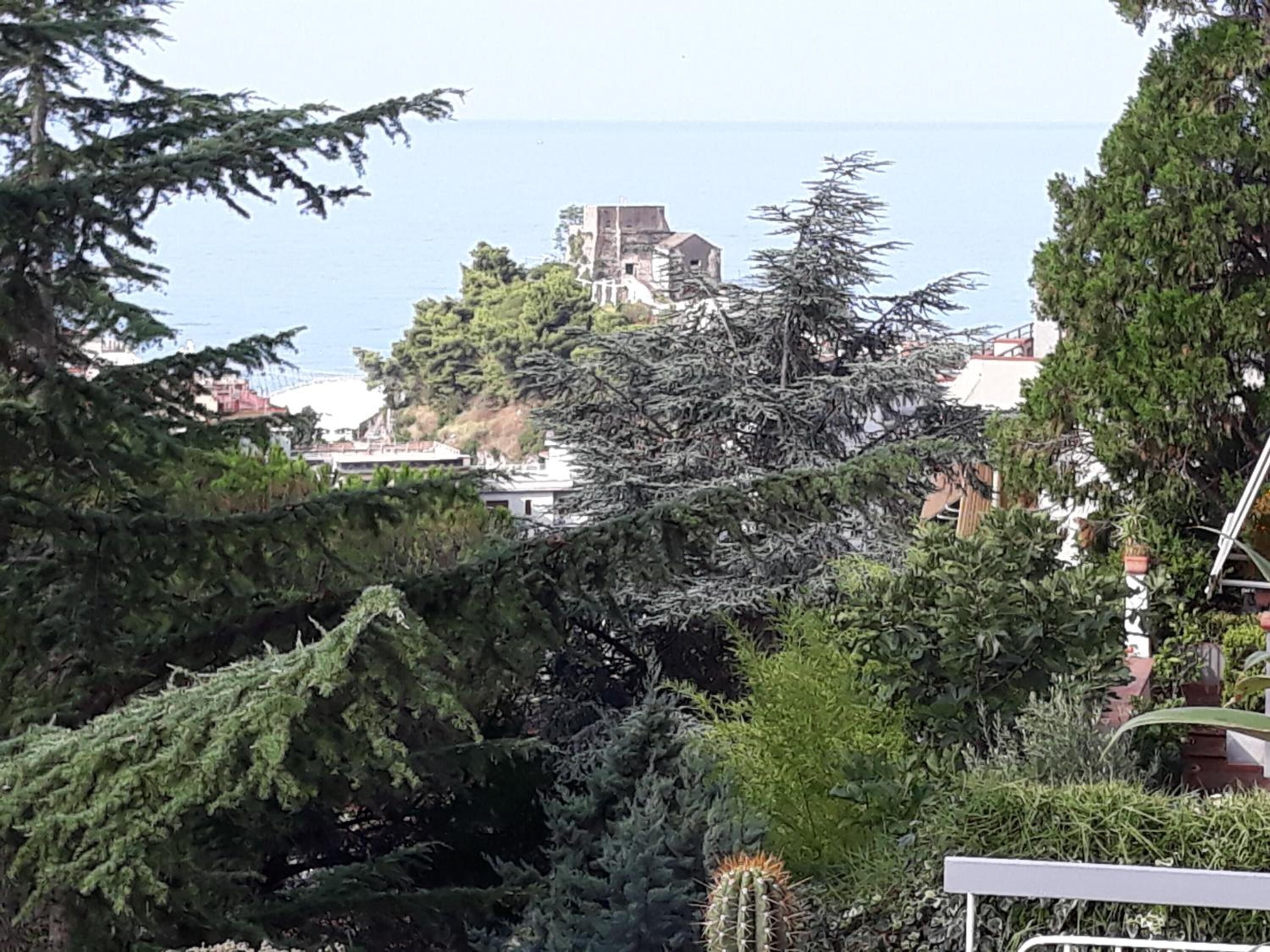 Le Ginestre In Centro