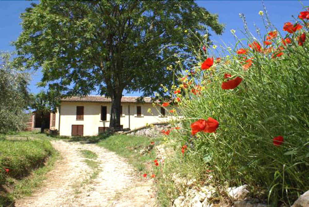 La Perticara Agriturismo