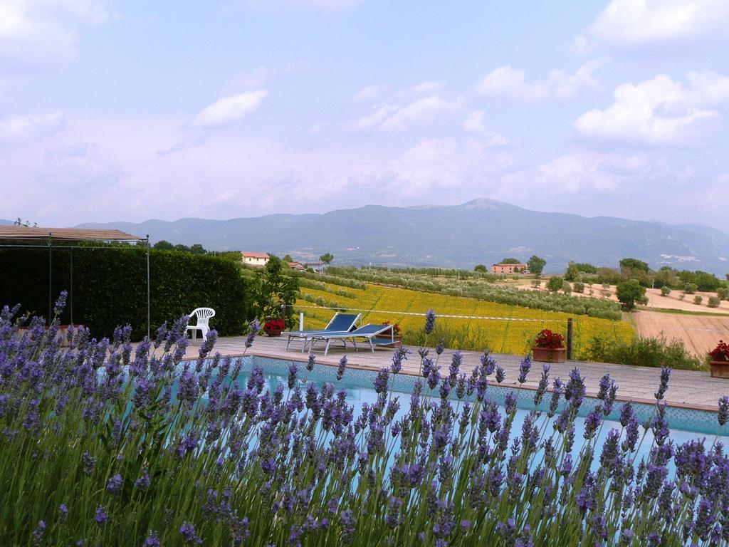 Agriturismo San Cristoforo