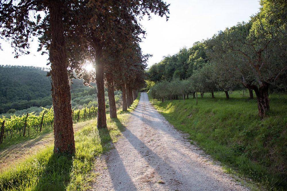 Agriturismo Colle Pu