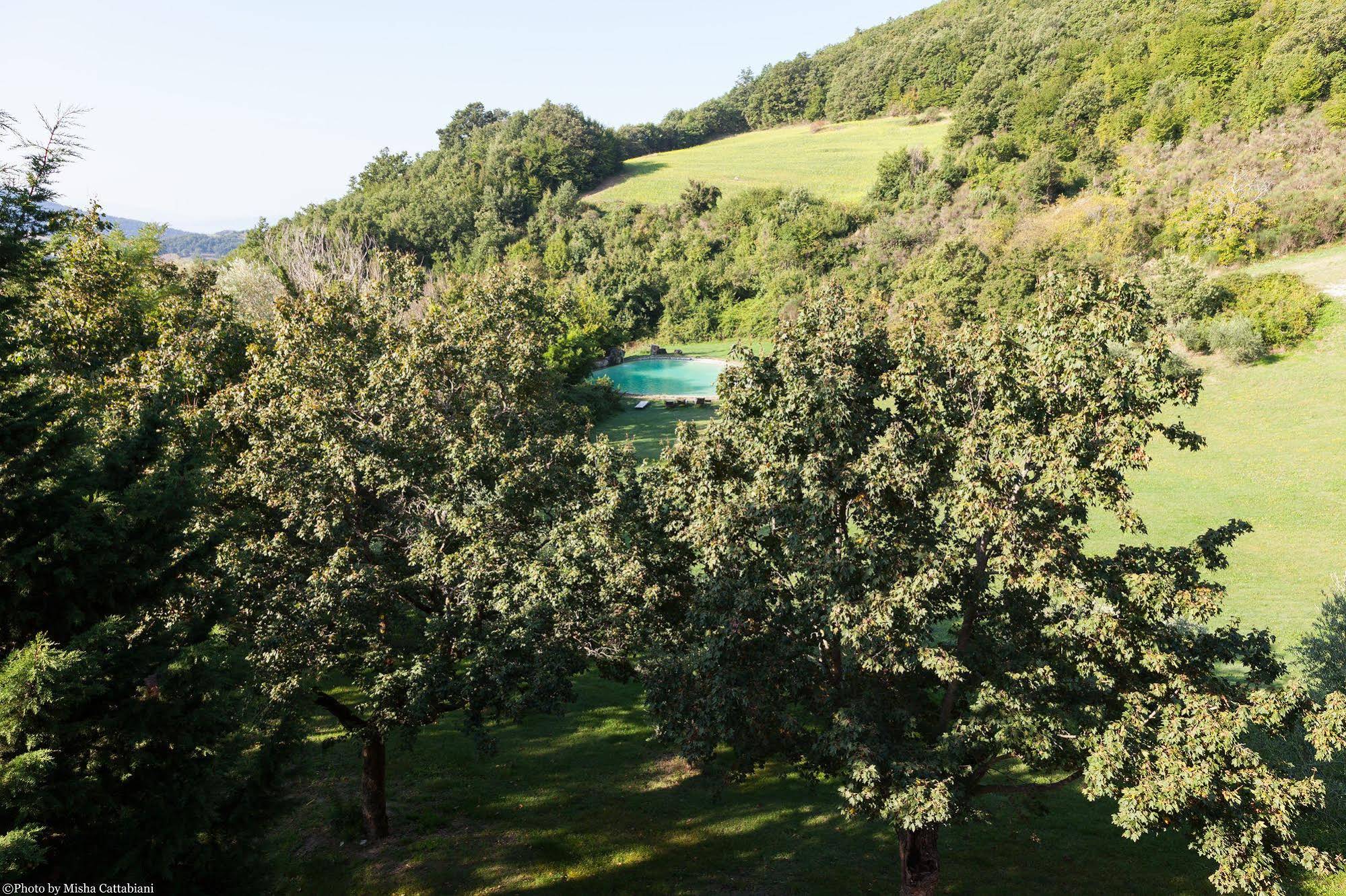 Agriturismo Paradiso41