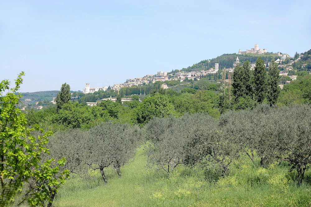 Country House Poggio Fiorito