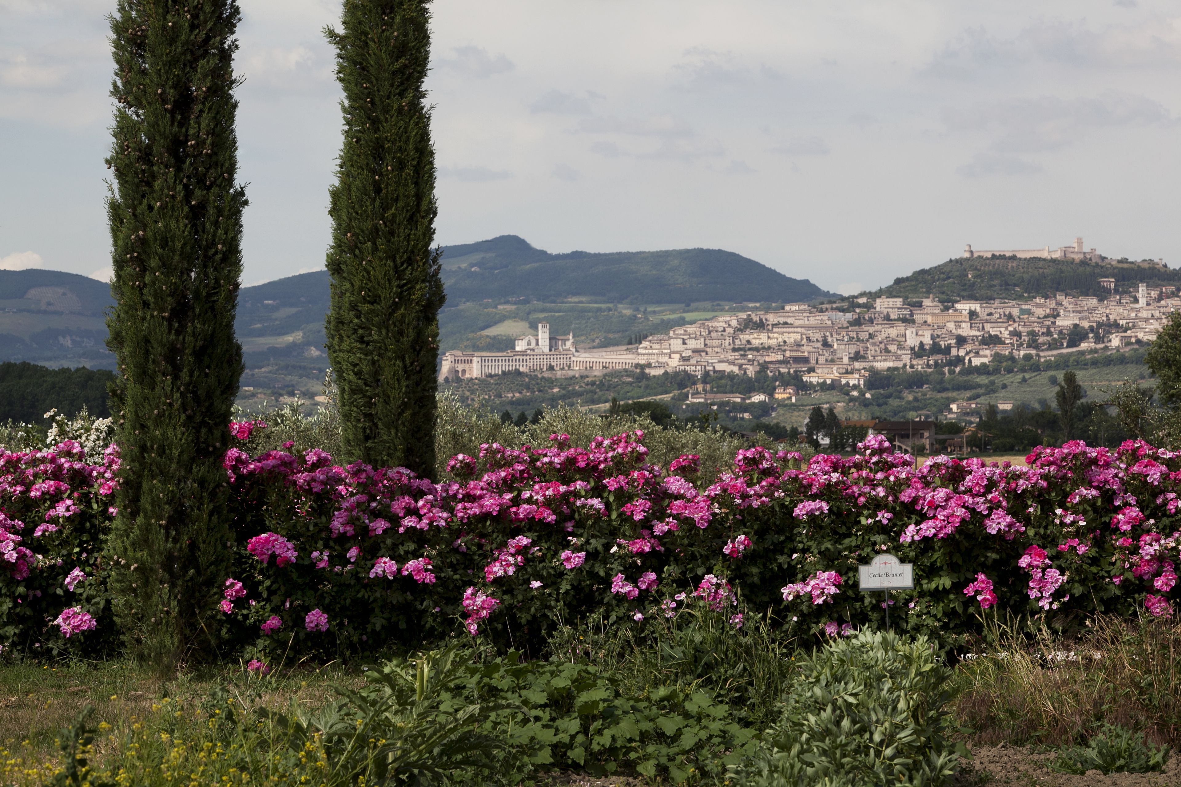 Garden Resort & Spa San Crispino