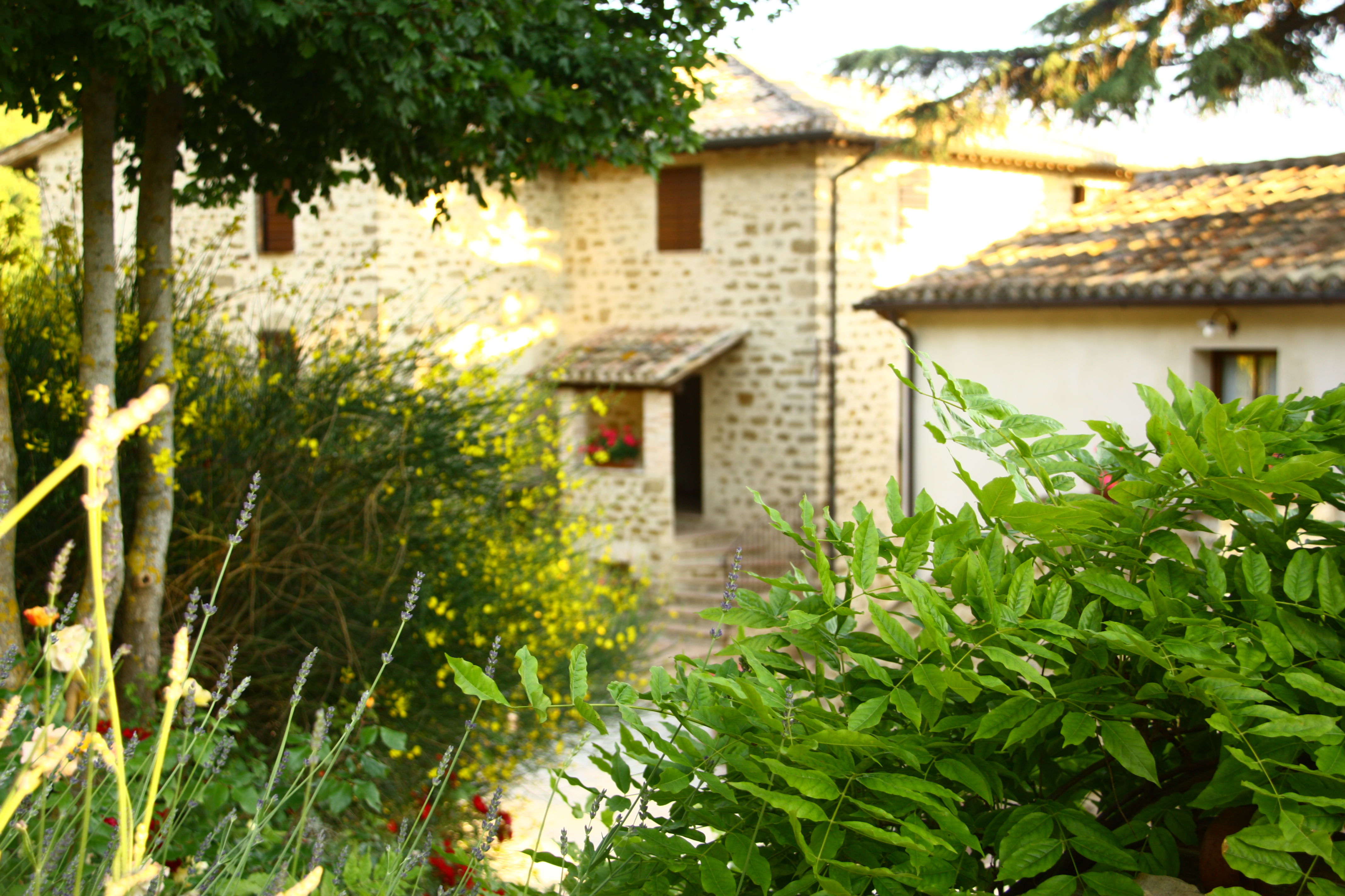 La Tavola dei Cavalieri Il Borgo