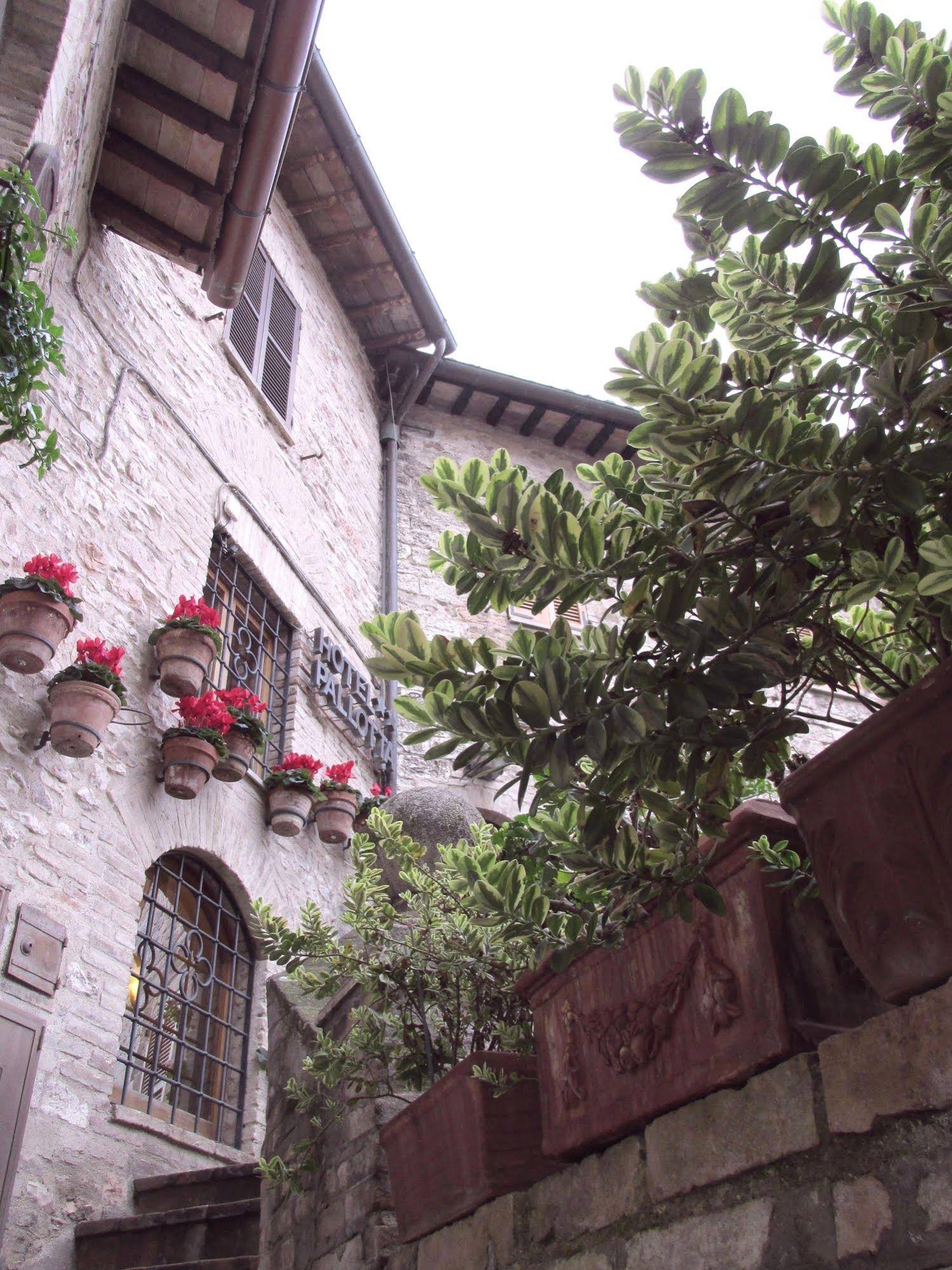 Hotel Pallotta