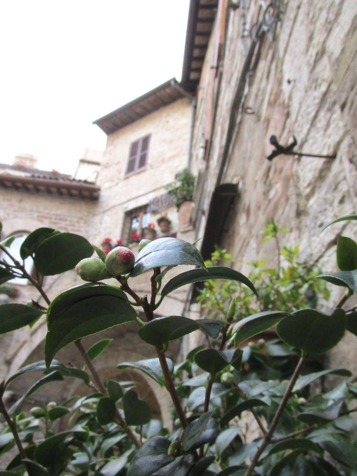 Hotel Pallotta