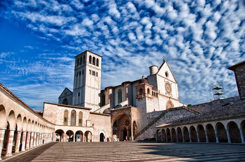 Vignola