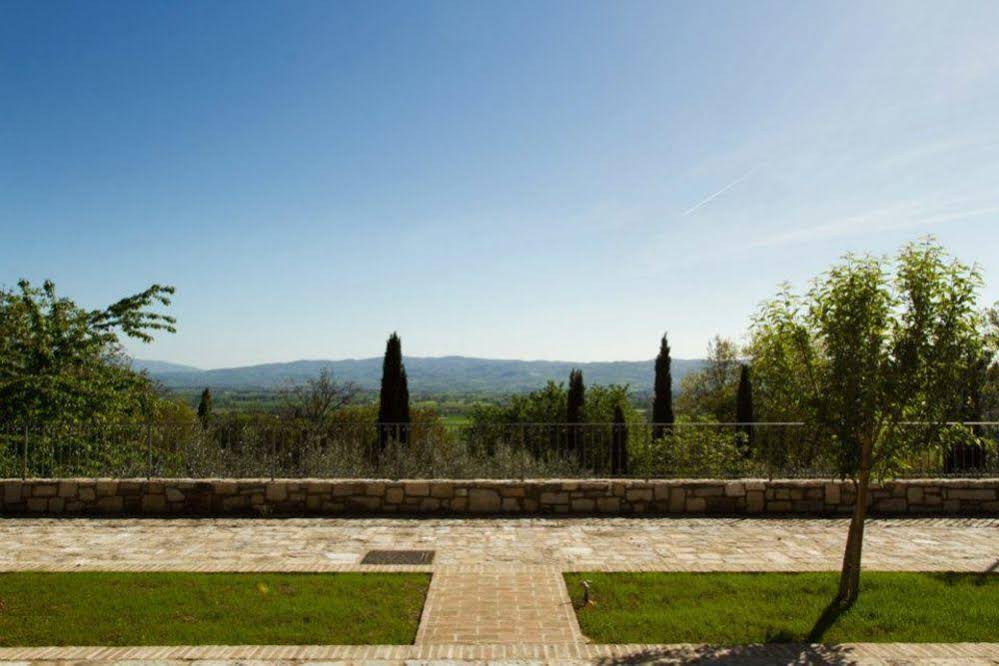 Villa Degli Ulivi