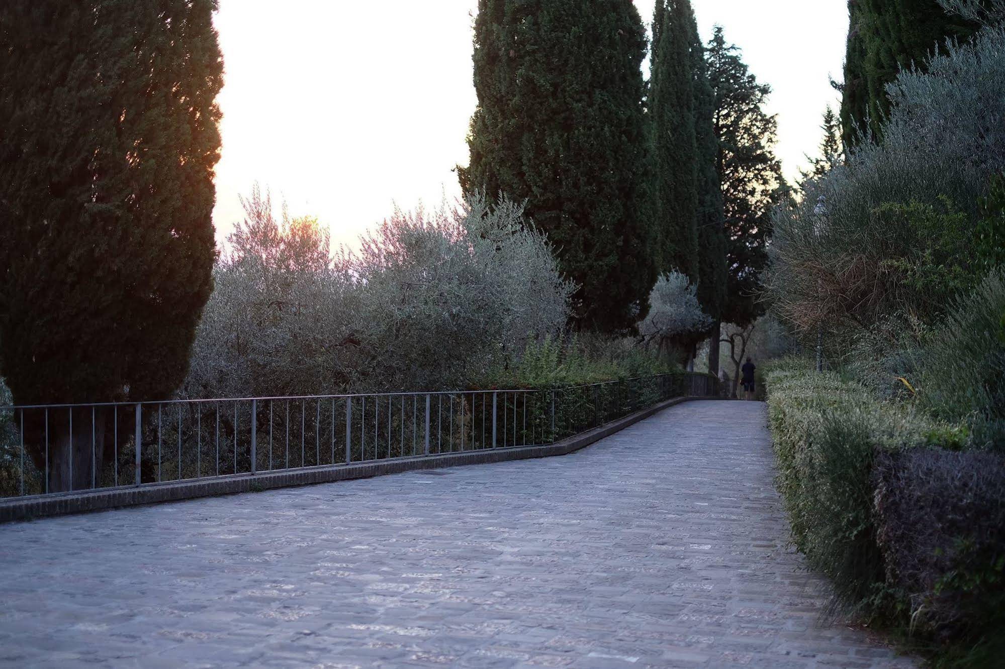 Villa Degli Ulivi